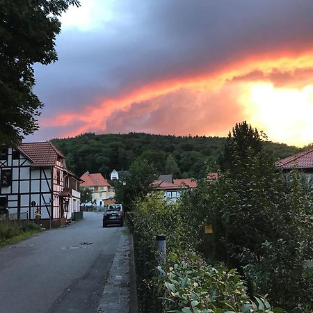 Ferienwohnung-Willgeroth Ilsenburg Eksteriør bilde